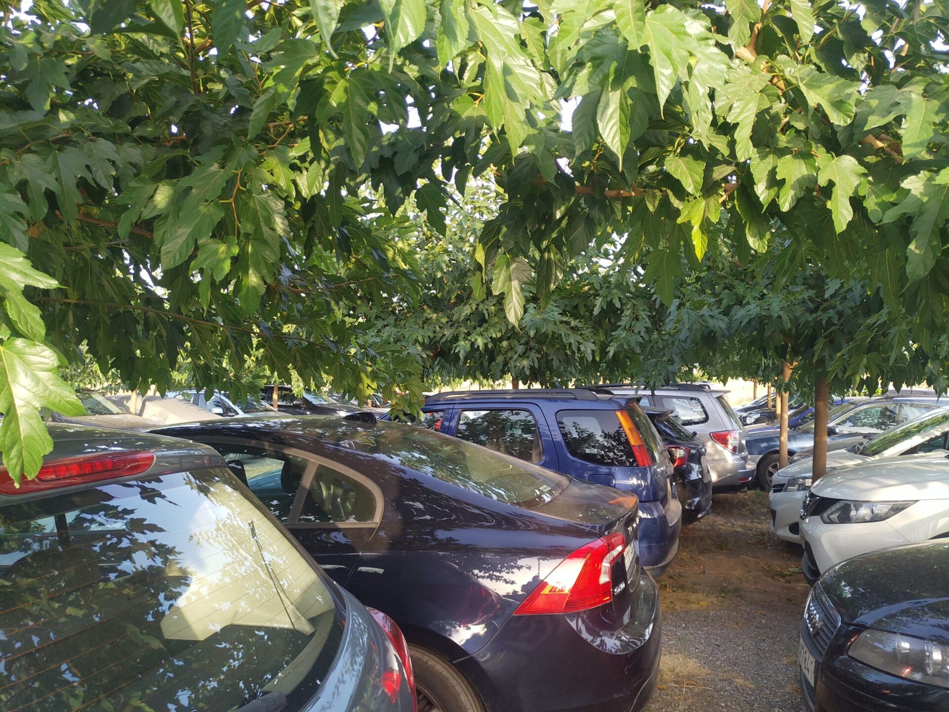Θέσεις στάθμευσης Ikaros Air Park